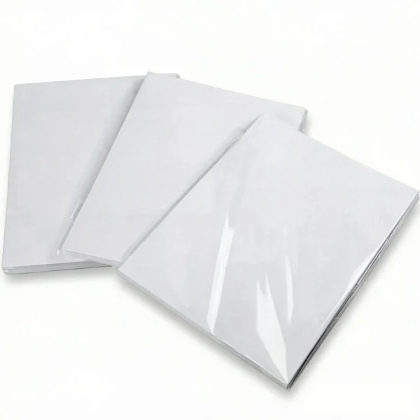 Best Seller Premium Quality Woodfree Offset Paper Roll with Perfect Surface Smoothness