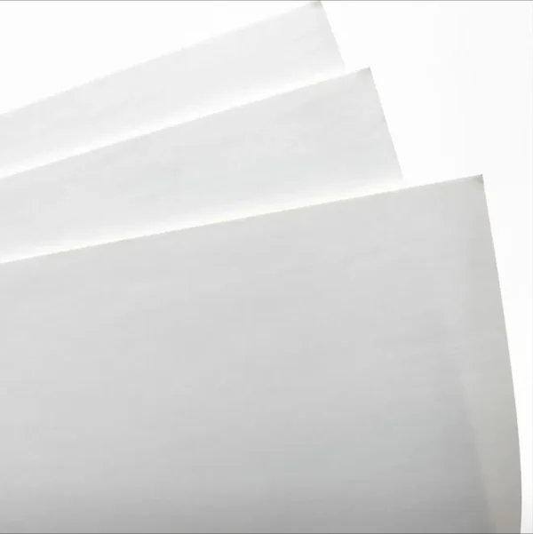Export Paper Board with White Face and Grey Back 300 GSM Duplex Board for Model Making