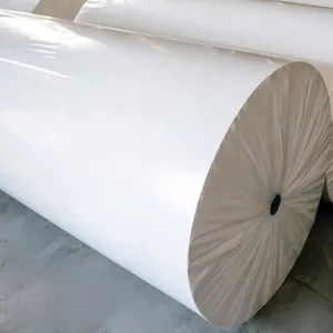 White and Cream Uncoated Offset Bond Paper Roll 50-80gsm